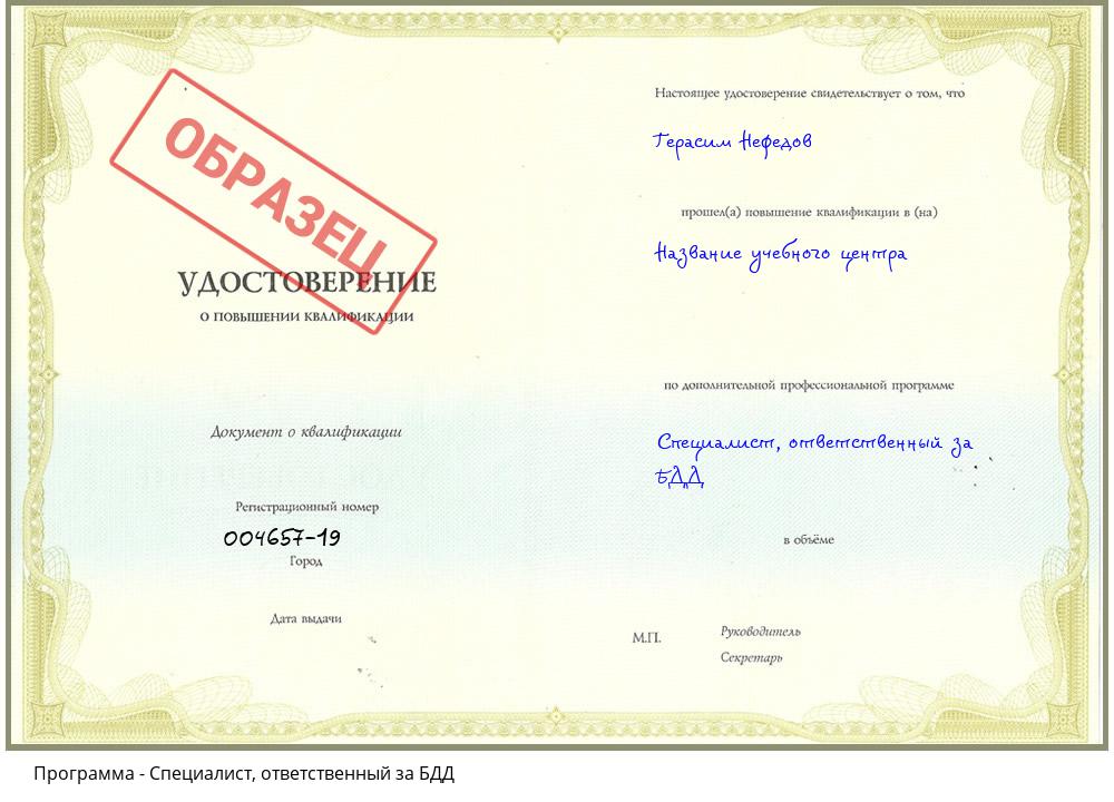 Специалист, ответственный за БДД Губкин