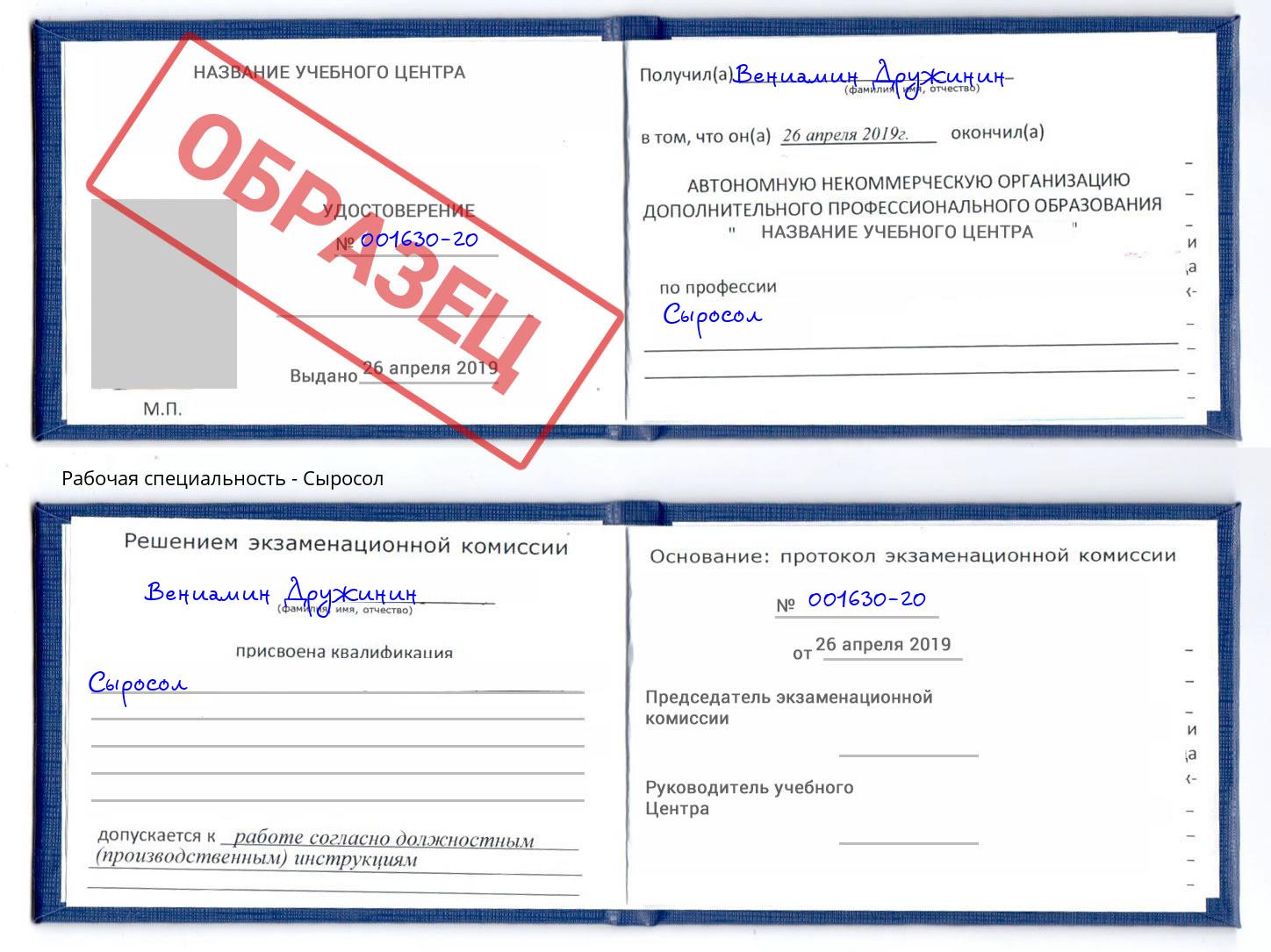 Сыросол Губкин
