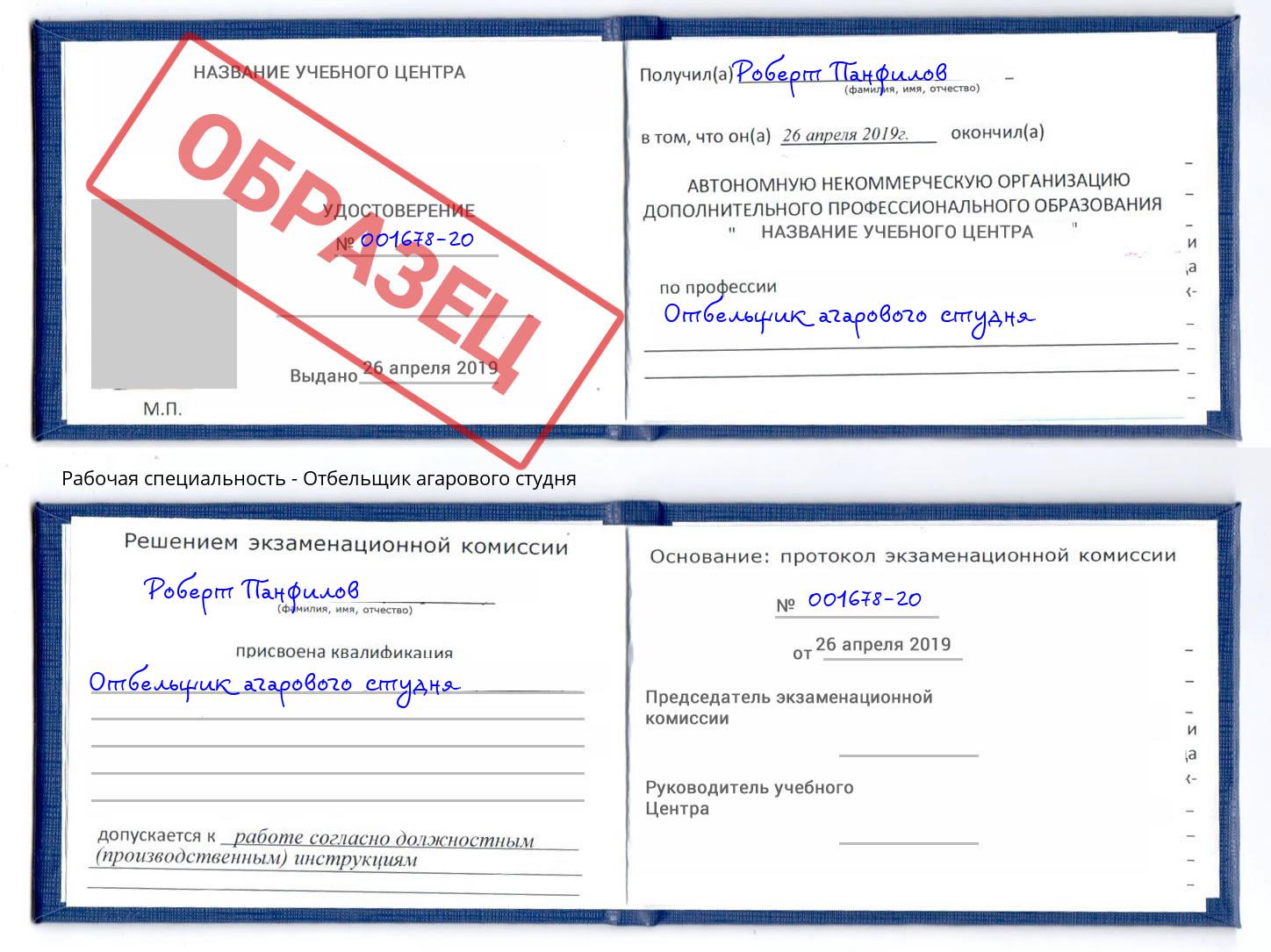 Отбельщик агарового студня Губкин