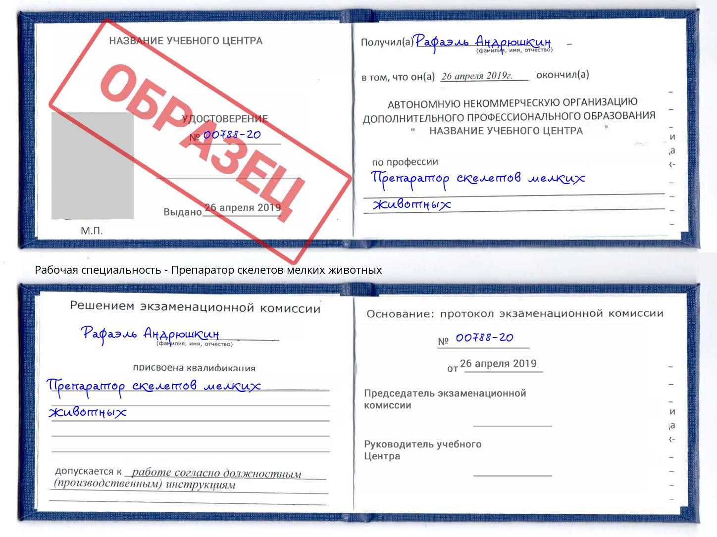 Препаратор скелетов мелких животных Губкин