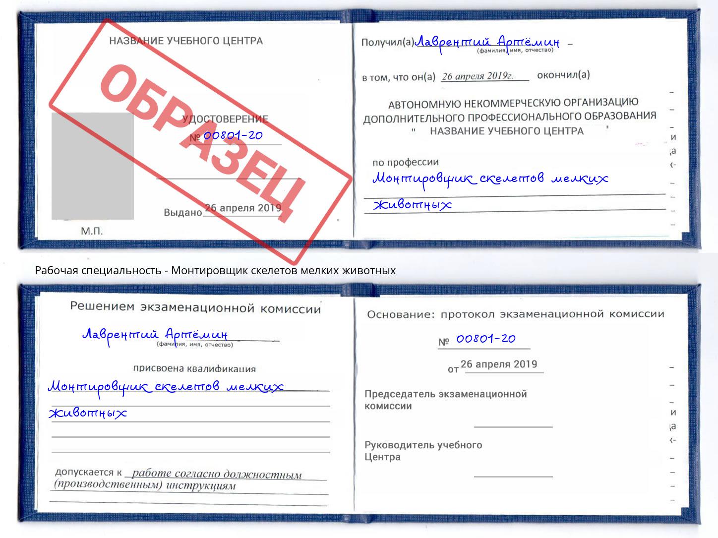 Монтировщик скелетов мелких животных Губкин