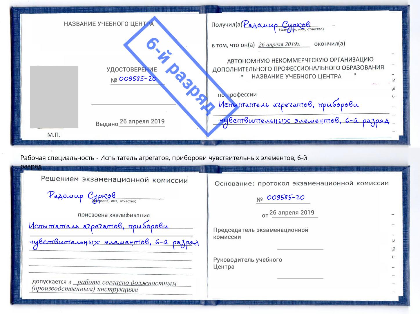 корочка 6-й разряд Испытатель агрегатов, приборови чувствительных элементов Губкин