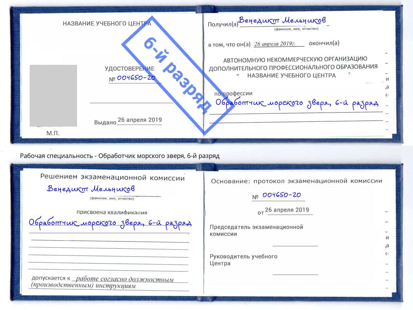 корочка 6-й разряд Обработчик морского зверя Губкин