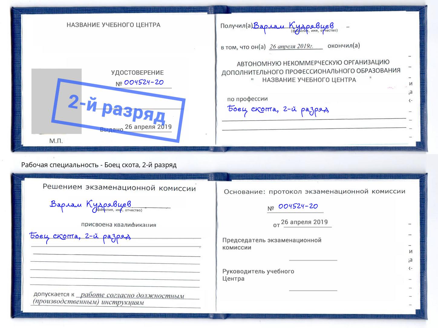 корочка 2-й разряд Боец скота Губкин