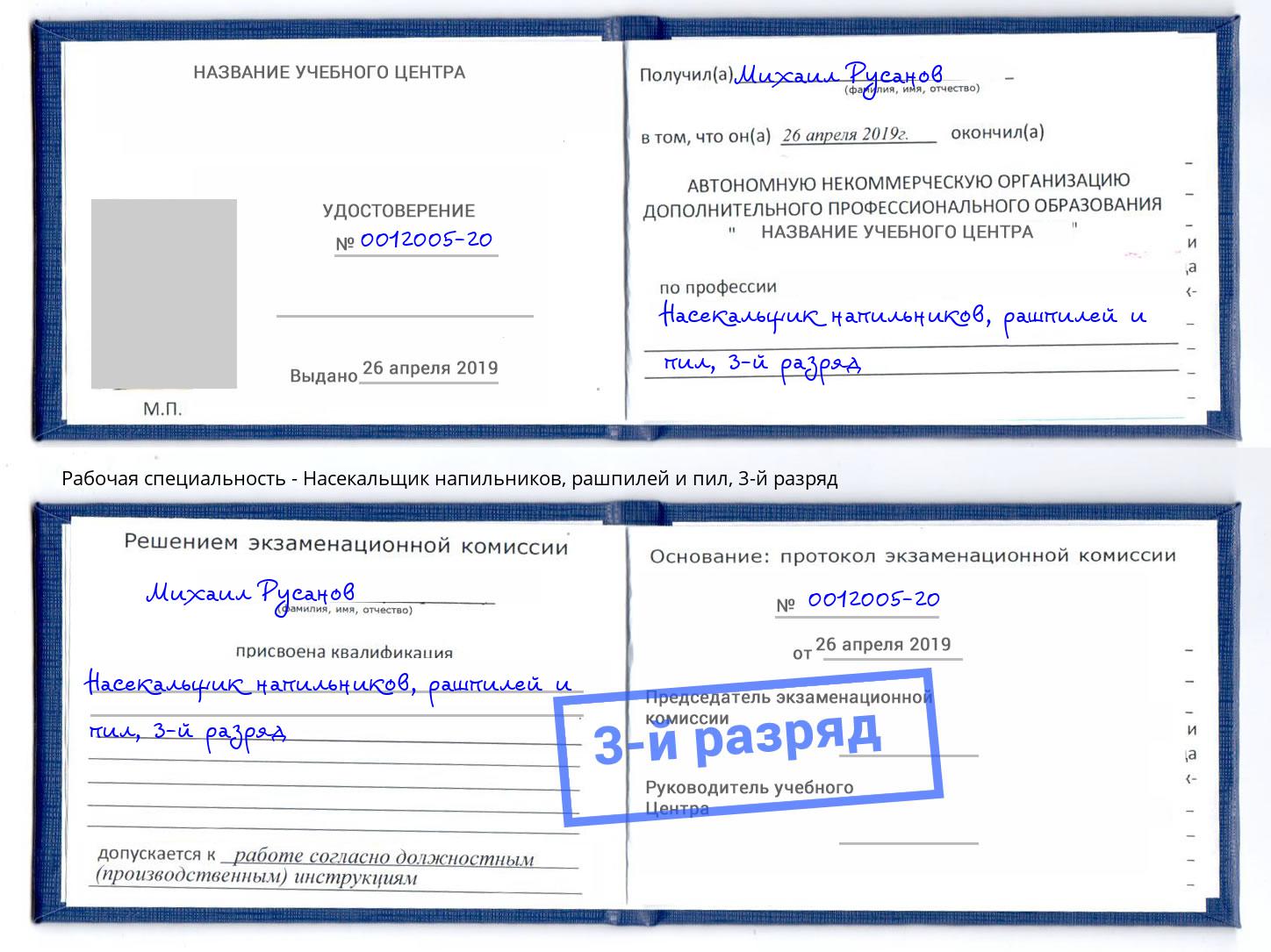 корочка 3-й разряд Насекальщик напильников, рашпилей и пил Губкин