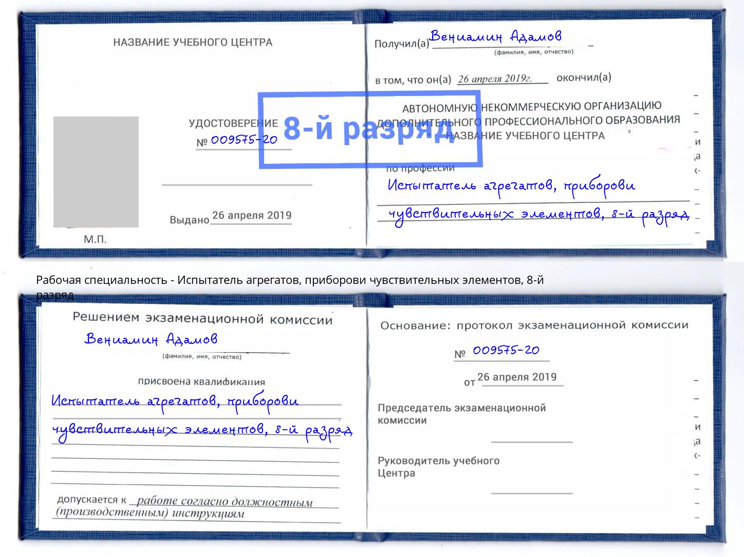 корочка 8-й разряд Испытатель агрегатов, приборови чувствительных элементов Губкин